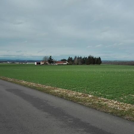 Maison Entiere Independante Noyers-sur-Serein Exteriör bild